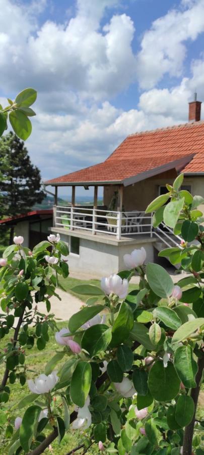 Vikend House Villa Ljig Exteriör bild
